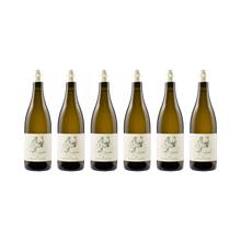 Viognier – 2023 — 6× 750 ml