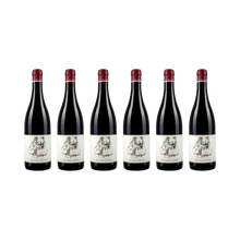 Oliver Zeter 6er-Set — Syrah 2017
