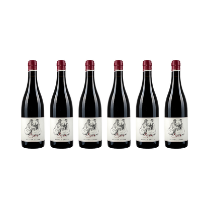 Oliver Zeter 6er-Set — Syrah 2017