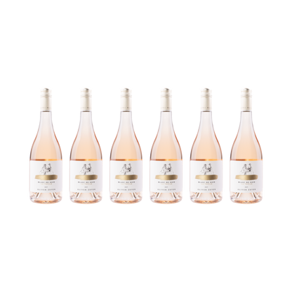 Oliver Zeter 6er-Set — Blanc De Noir 2025